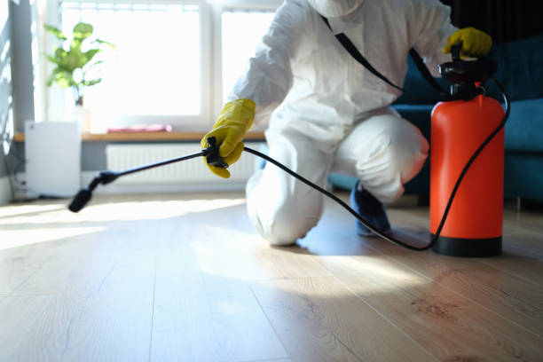 Reliable Odor Removal contractor in Moonachie, NJ by Crime Scene Cleaner Online
